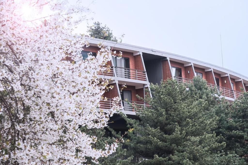 Walkerhill Douglas House (adults Only) Hotel 5*